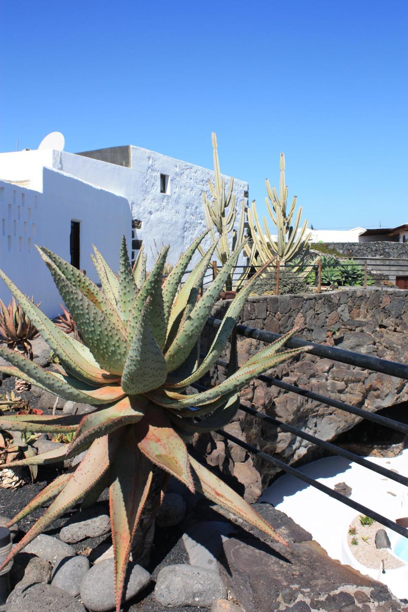 Casa Rural Finca Isabel Мосага Экстерьер фото