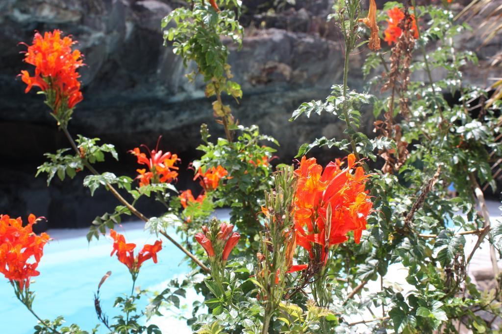 Casa Rural Finca Isabel Мосага Экстерьер фото